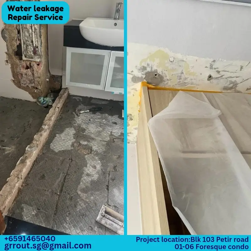 Water Leakage Project Singapore-1
