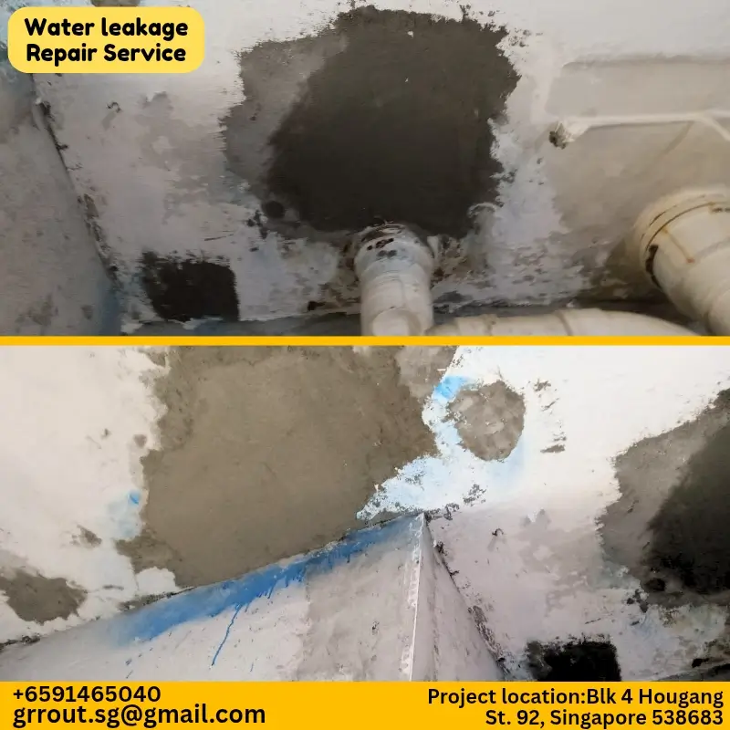 Water Leakage Project Singapore-11