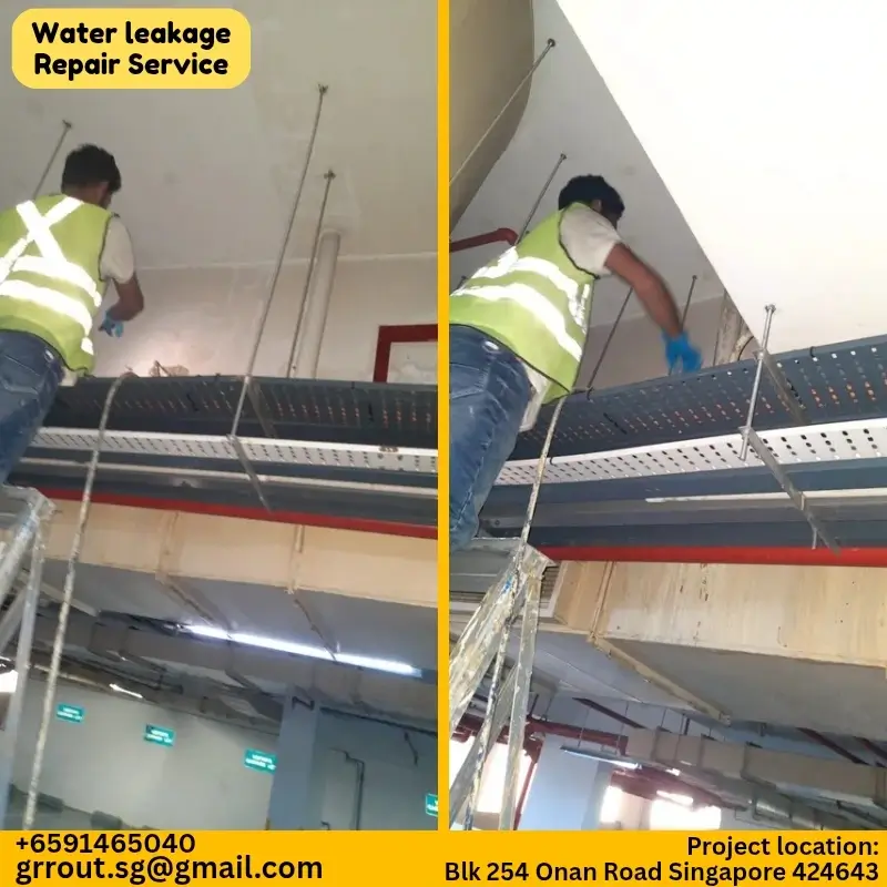 Water Leakage Project Singapore-2