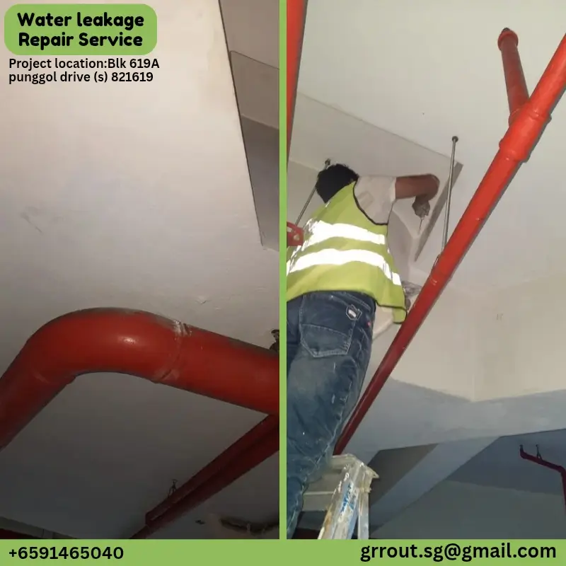 Water Leakage Project Singapore-3