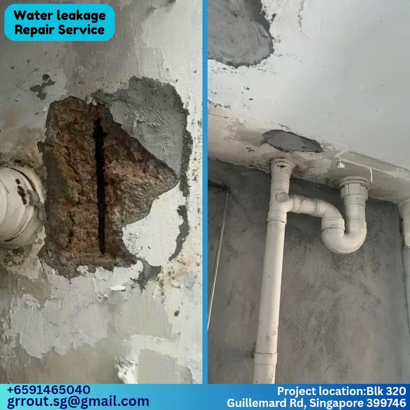 Water Leakage Project Singapore-06