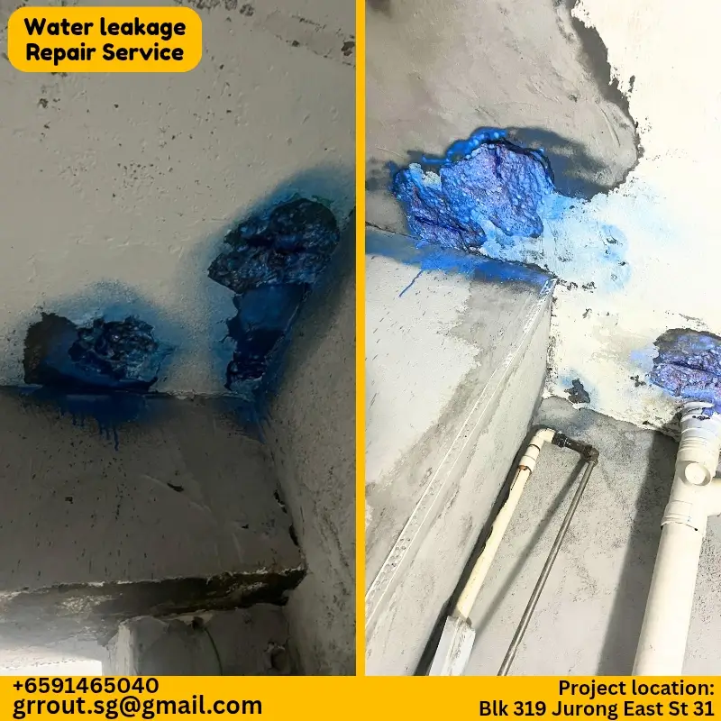 Water Leakage Project Singapore-12