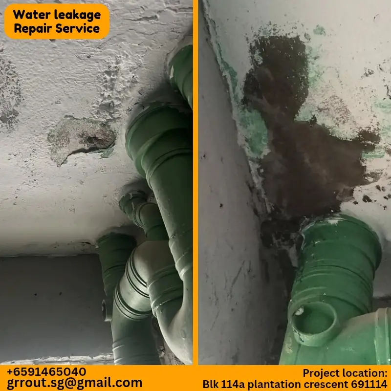 Water Leakage Project Singapore-5