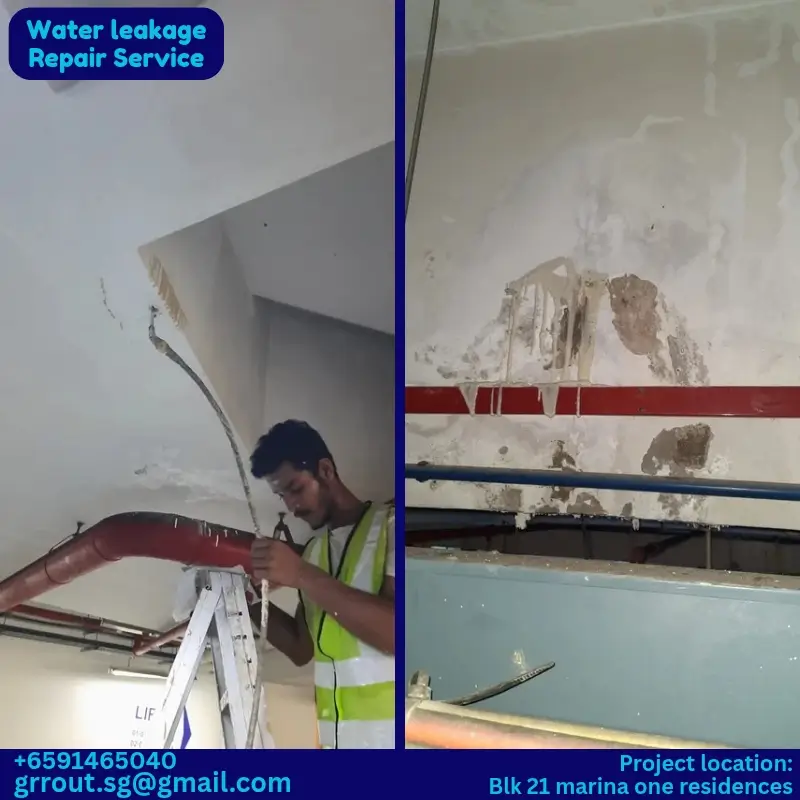 Water Leakage Project Singapore-07