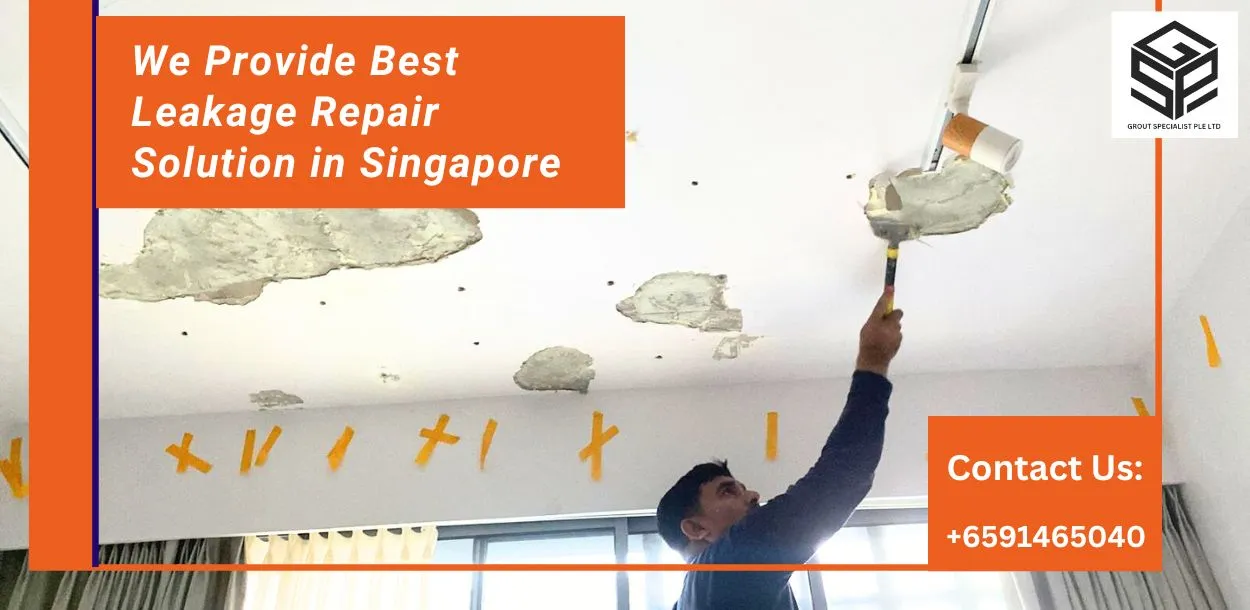 water leakage specialist singapore